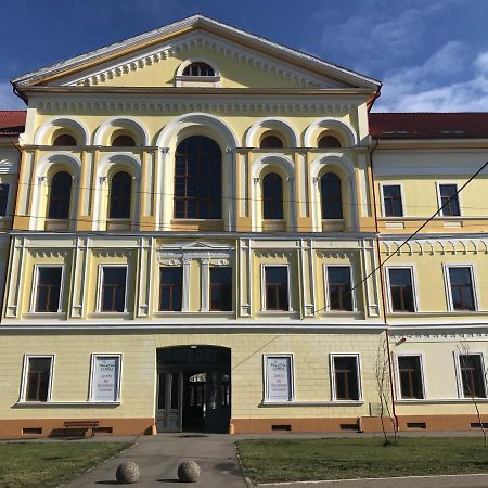Palatul Lugoj Leilighet Eksteriør bilde